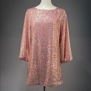 LOFT Blush Pink Sequin dress (rack4)